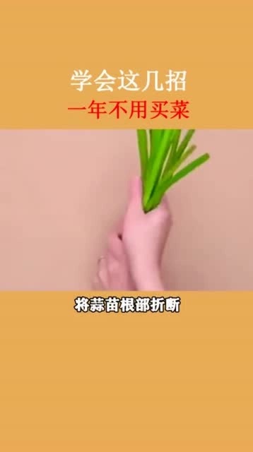 生活小妙招与种菜技巧分享